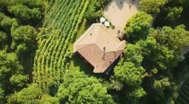 Biss Badaliss - * Valdobbiadene