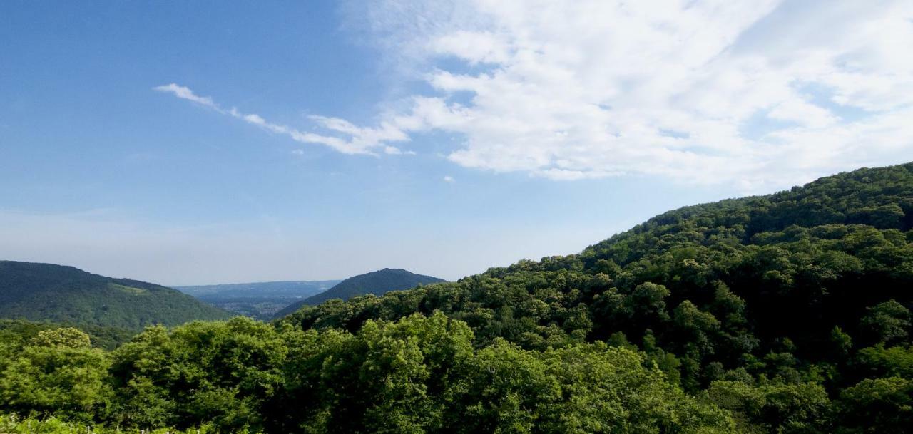 Bed & Breakfast Biss Badaliss - *